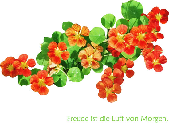 Freude ist die Luft von Morgen.